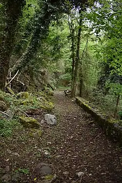 Sentier découverte (de la RD vers Sem) : ancien chemin par lequel les ânes descendaient le minerai.