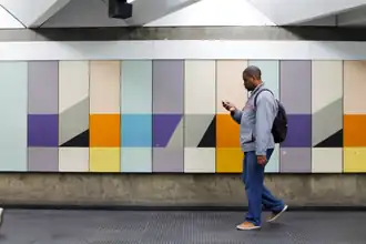 Maurício Nogueira Lima.