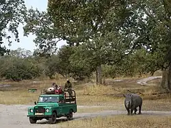 Observation des animaux
