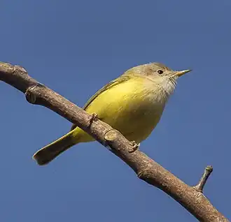 Description de cette image, également commentée ci-après