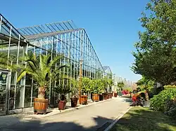 Les serres du Parc du Moulin à Tan.