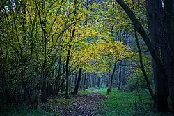 Sentier André-Weckmann.