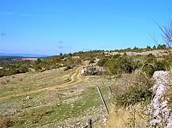 Sentier après le passage d'un troupeau de brebis.