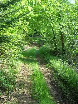 Sentier pédagogique.