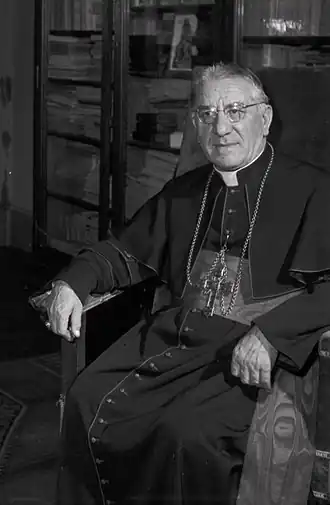 Image illustrative de l’article Adeodato Giovanni Piazza