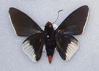 Description de cette image, également commentée ci-après