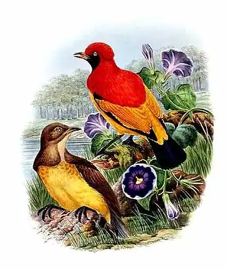 Description de cette image, également commentée ci-après