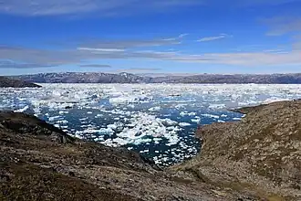 Photographie en couleurs d'un fjord aux eaux parsemées de petits blocs d'icebergs et bordé d'une côte échancrée au premier plan.