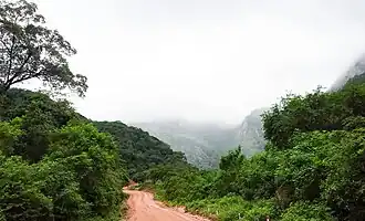 Département de Tarija