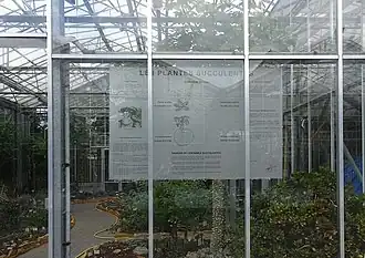 Serre des  plantes succulentes du Jardin botanique de Tourcoing.