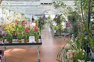 Image illustrative de l’article Vacherot et Lecoufle