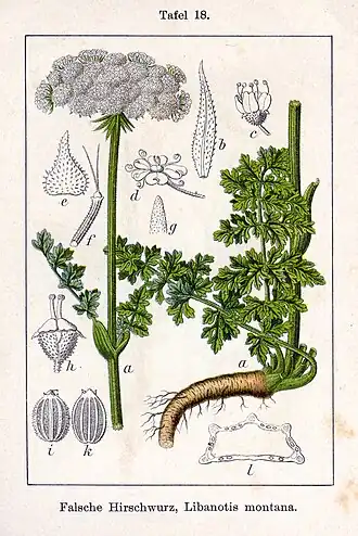 Description de cette image, également commentée ci-après