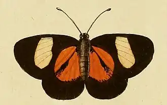 Description de cette image, également commentée ci-après