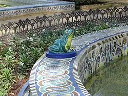 Vue d'une grenouille