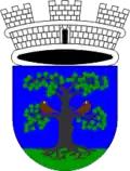 Blason de Sevnica