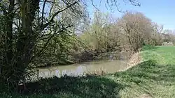 Le Sevron à Varennes-Saint-Sauveur, non loin du bourg.