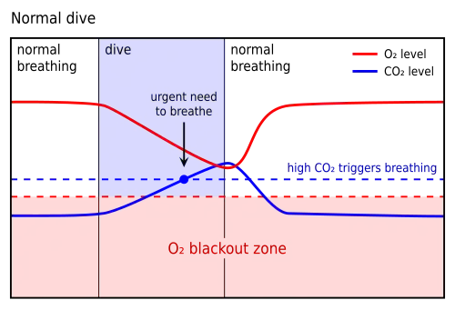 voir la légende ci-après