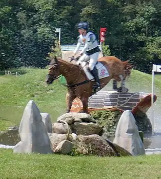 Image illustrative de l’article Sharon Hunt