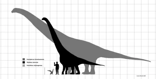Comparaison de taille humaine dont Hamipterus