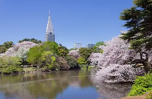 Shinjuku gyoen.