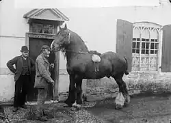 Photographie noir et blanc d'un grand cheval noir devant une maison avec deux hommes.