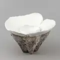 Forme blanche (Shiroi no gata), Koike Shoko, céramique, grès, porcelaine, glaçure = couverte, gravé = incisé, 2011.