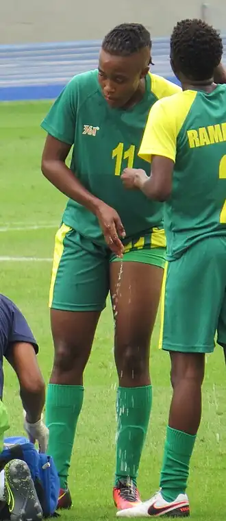 Image illustrative de l’article Shiwe Nogwanya