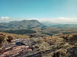 Prairie de montagne et ses bois shola associés. Dans le massif des Anaimalai, près de Valparai.