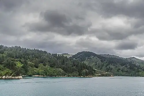 Photographie d'une pente boisée surplombant la mer.