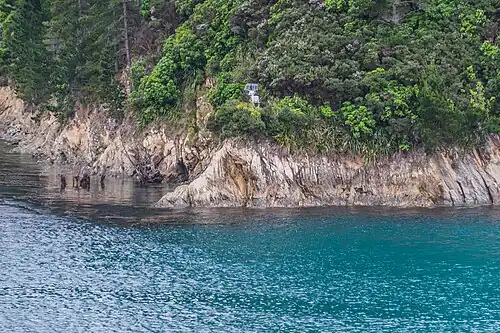 Photographie d'une forêt dense couvrant une pente jusqu'en bord de mer.