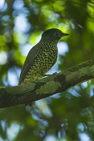 Description de cette image, également commentée ci-après