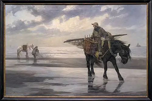 Pêcheur de crevettes à Nieuport