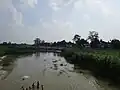 Shuk_River at Thakurgaon Sadar Upazila