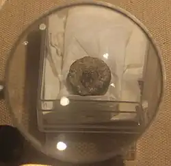 Description de l'image Shuyu-Paleozoological Museum of China.jpg.