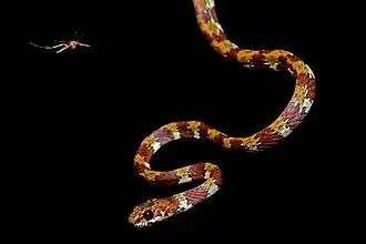 Description de cette image, également commentée ci-après