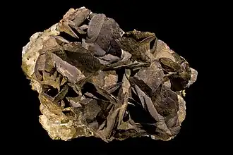 Sidérite pseudomorphose en limonite - Allevard Isère - (14 × 12 cm)