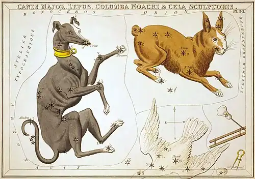 Carte no 30 : Le Grand Chien, le Lièvre, la Colombe & le Burin