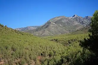 Sierra de Almijara.