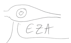 signature de Reza Deghati