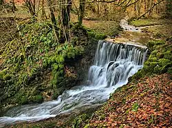 Cascade du moulin de Bonnecreau.