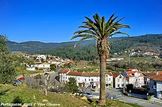 Silva Escura e Dornelas