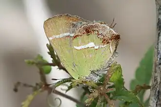 Description de cette image, également commentée ci-après