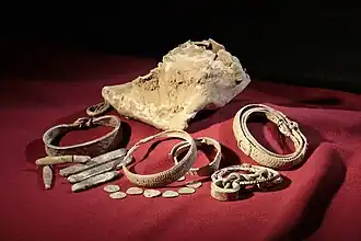 Image illustrative de l’article Trésor de Silverdale