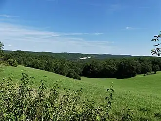 Image illustrative de l’article Secteur forestier de Borrèze