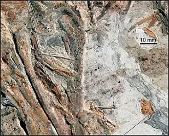 Description de cette image, également commentée ci-après