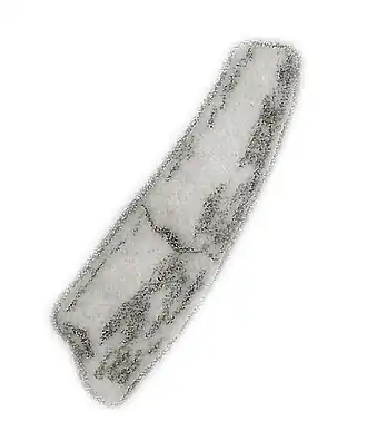 Description de l'image Sinocoelurus tooth.jpg.