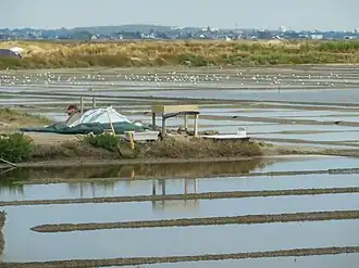 Les marais salants à Sissable, vue sur le village de Saillé.