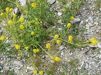 Description de cette image, également commentée ci-après