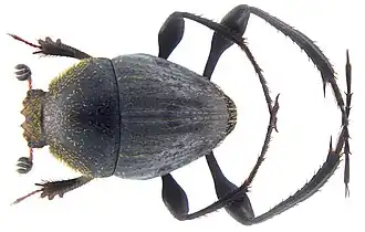 Description de cette image, également commentée ci-après