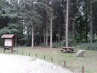 Image illustrative de l’article Forêt de Gouffern